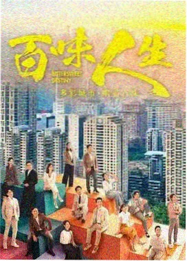 第七码头的猫作品封面